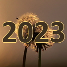 2023p
