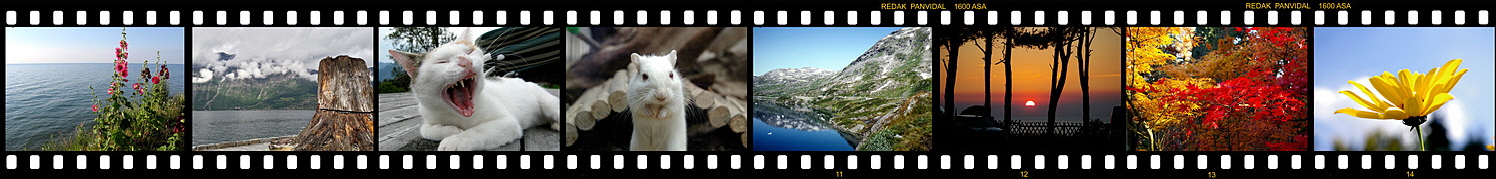 Filmstreifen Fotoseite1 Filmstreifen Fotoseite1