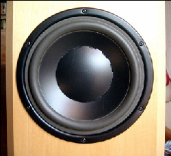 Xennon_3-100_L_Ahorn_04_k Xennon_3-100_L_Ahorn_04_k