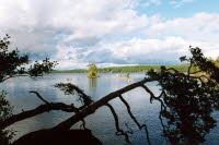 2001