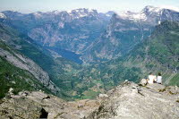 1982