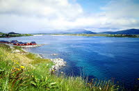 2003